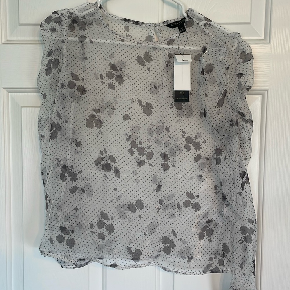 Sheer Banana Republic blouse.